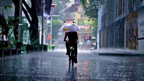 Maharashtra Rain Alert Weather Updates Paus
