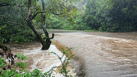 Satara, Kass Road, Bamnoli, Satara Rain Updates