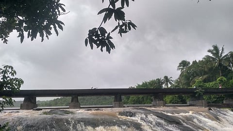 raigad, raigad news, raigad hits rain