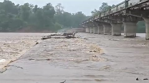 flood hits gadchiroli, chandrapur, 