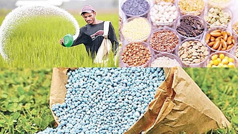 case will be registered against those who sell bogus seeds and fertilizers Maharashtra Government will prepare new law 