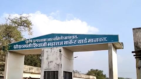Cotton, manwath krushi utpanna bazar samiti , parbhani 