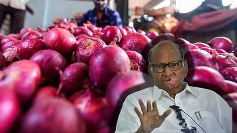 Sharad Pawar News