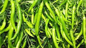 Crop Insurance
