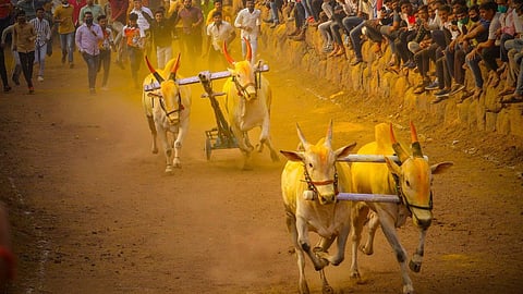 bailgada sharyat, khed