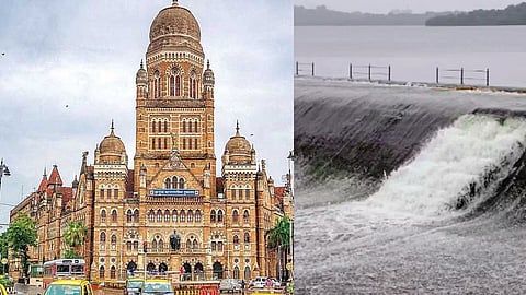 Mumbai Dam Water level
