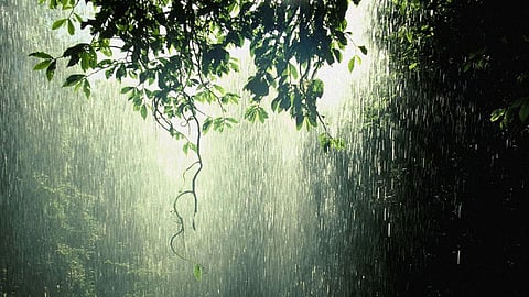 Maharashtra Rain Update