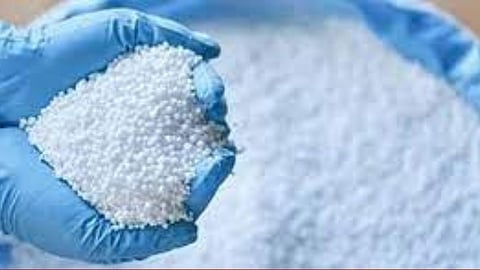 Akola News Urea Deficiency