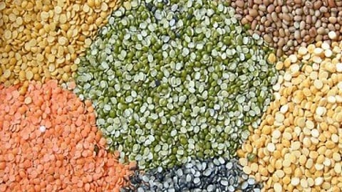 latur apmc market, pulses
