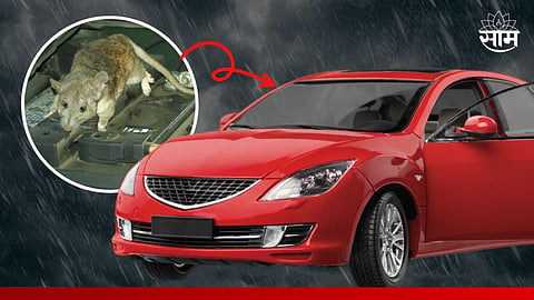 Car Care Tips