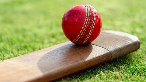 cricket news 