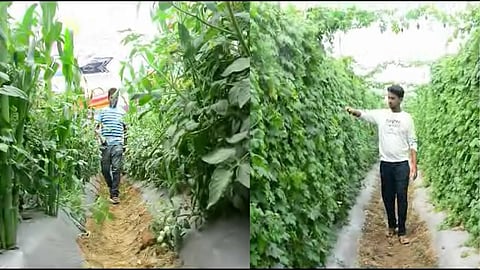Bhandara Farmer Success Story