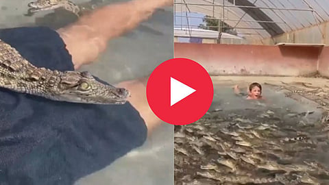 Boy Jump Crocodile Lake