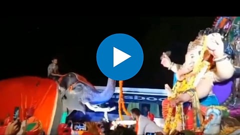 Ganpati VIdeo 