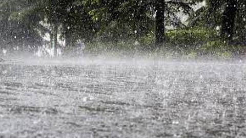Gondia Rain Update