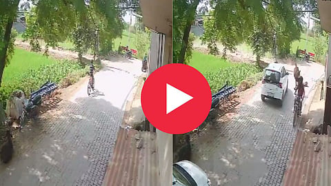 Cow Draged Elderly man