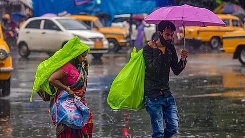  Maharashtra Weather Updates IMD Predict Heavy Rain Next 48 Hours in Marathwada vidarbha Many Districts