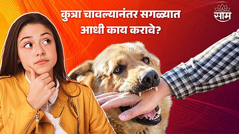 World Rabies Day 2023
