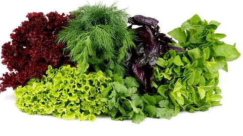 leafy vegetables, nashik news