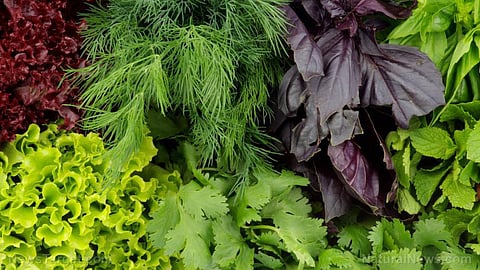 Vegetable Price Increases
