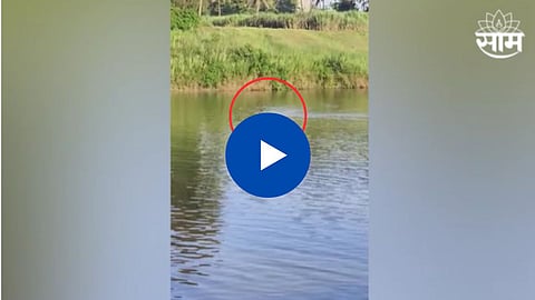 Sangli Video 