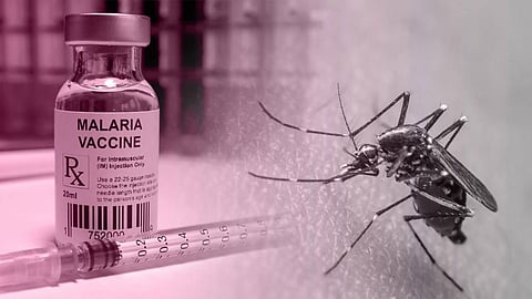 Malaria Vaccine