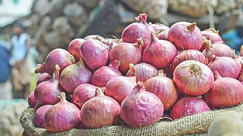 Onion Export News: केंद्र सरकारचा मोठा निर्णय! 40% निर्यात शुल्कातून कर्नाटकच्या कांद्याला वगळलं; राज्यातील शेतकऱ्यांवर पुन्हा अन्याय?
