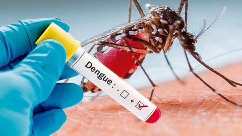 Dengue Patient, Yavatmal