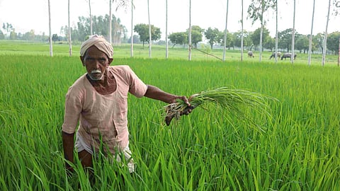 PM Kisan Yojana