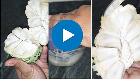 Viral Food Video