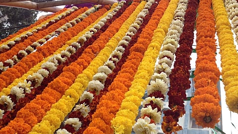 Plastic Flowers