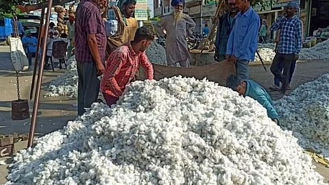 Nandurbar News
