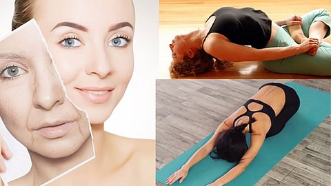 Anti-Ageing Yogasan