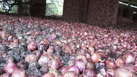 Manmad News onion