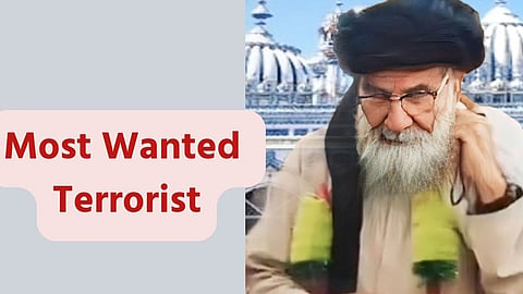 Terrorist