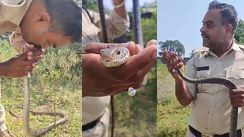 Police Giving CPR to Snake
