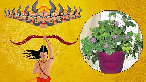 Dusshera 2023 