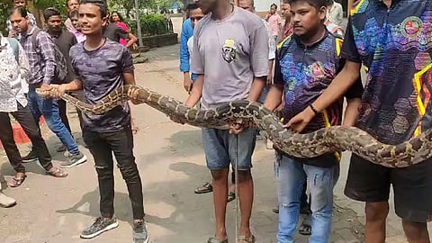 Navi Mumbai News