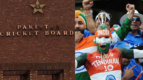 indian cricket fans