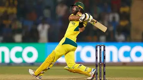 Cricket  World Cup 2023