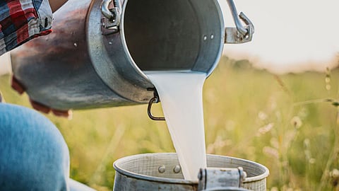 Milk Price