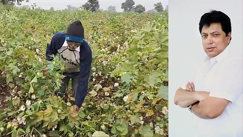mla ranjit kamble demands maharashtra government to help soyabean growers