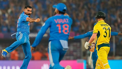mohammed shami