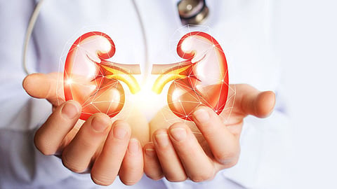 Chronic Kidney Disease