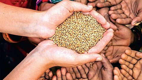 Free Food Grains