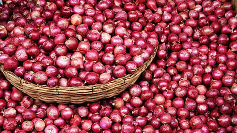 Onion Export News: खरेदी नको, निर्यातबंदी उठवा; कांदा उत्पादक शेतकरी पुन्हा आक्रमक