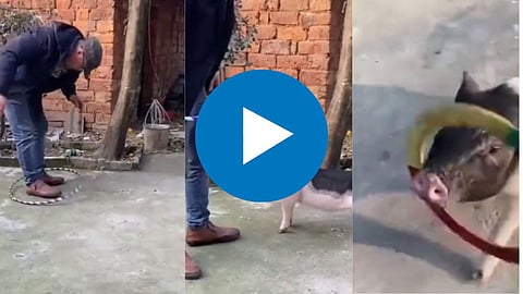 Funny Viral Video