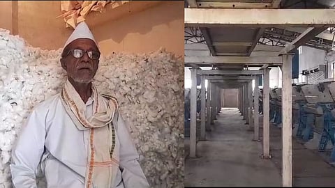 scarcity of cotton 500 ginning industries closed in maharashtra 