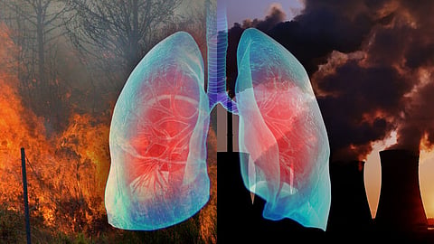 Air Pollution Affect Lung Cancer 