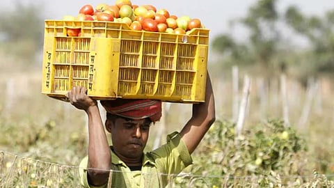 Agriculture News